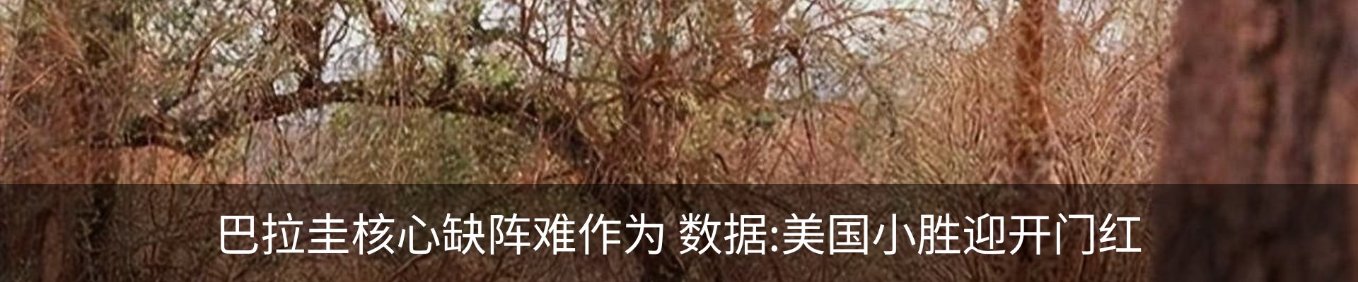 行业资讯