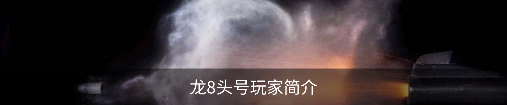 龙8头号玩家简介